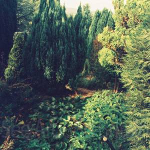 Photograph taken before 2009