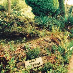 Photograph taken before 2009