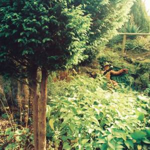 Photograph taken before 2009