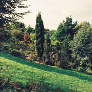 Photograph taken before 2009