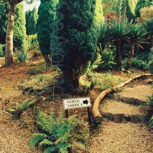 Photograph taken before 2009