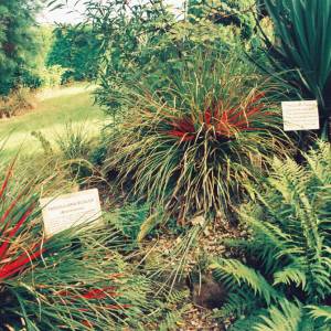 Photograph taken before 2009