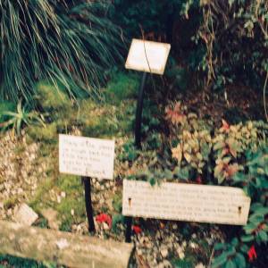 Photograph taken before 2009