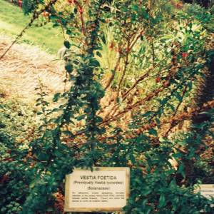 Photograph taken before 2009