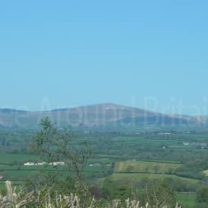 Landscape North of Route