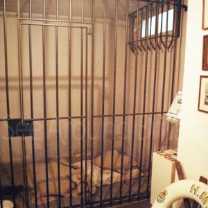 “taken before 2009”