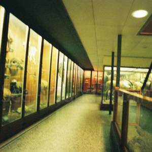 Photograph taken before 2009