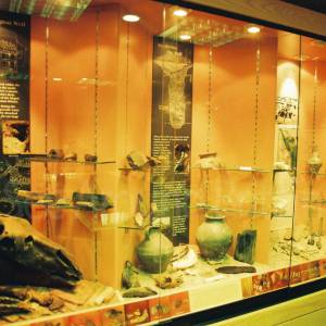 Photograph taken before 2009