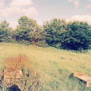 Photograph taken before 2009