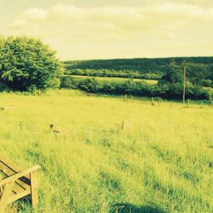 Photograph taken before 2009