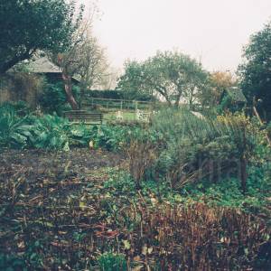 Photograph taken before 2009