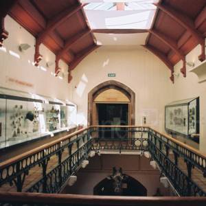 Photograph taken before 2009