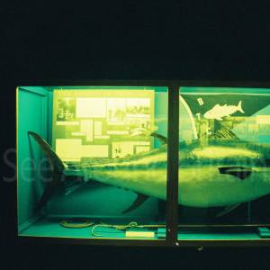 Photograph taken before 2009