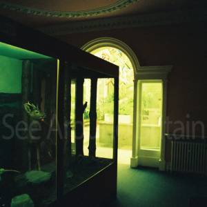 Photograph taken before 2009