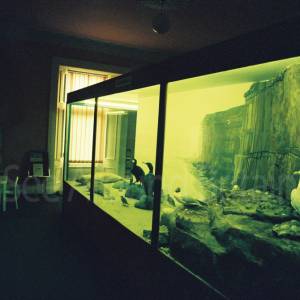 Photograph taken before 2009