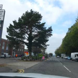 "Taken October 2025"