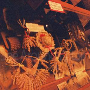 “taken before 2009”