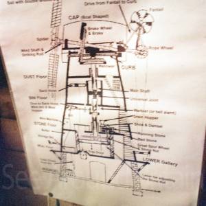 “taken before 2009”