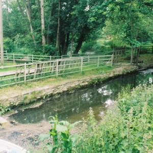 Photograph taken before 2009