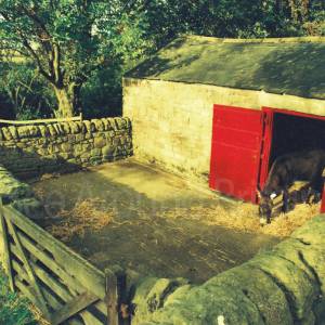 Photograph taken before 2009