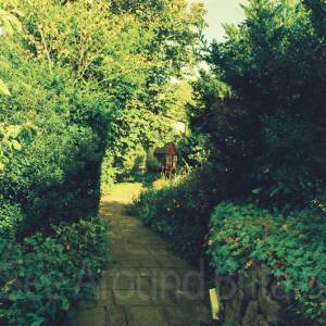 Photograph taken before 2009