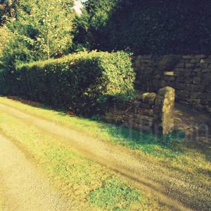 Photograph taken before 2009