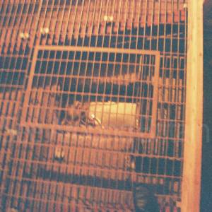 Photograph taken before 2009