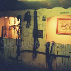 Photograph taken before 2009