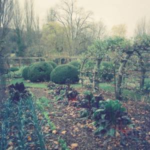 Photograph taken before 2009