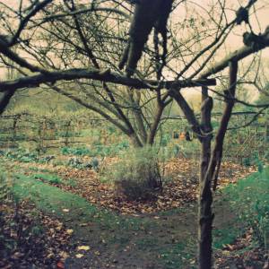 Photograph taken before 2009