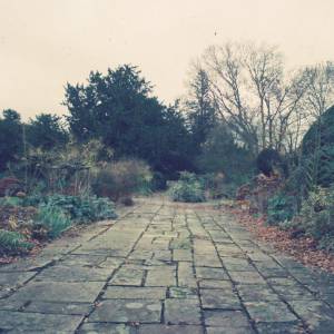 Photograph taken before 2009