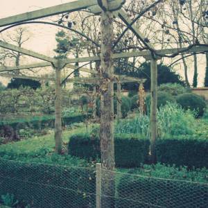 Photograph taken before 2009