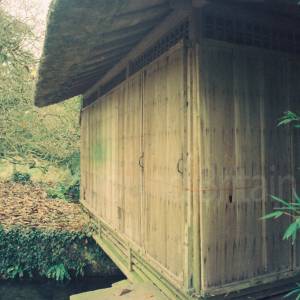 Photograph taken before 2009