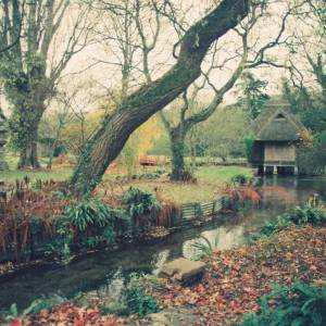 Photograph taken before 2009