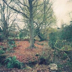 Photograph taken before 2009