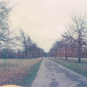 Photograph taken before 2009