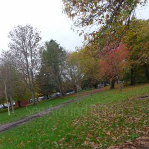 "Taken November 2025"