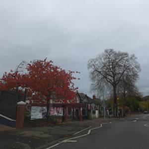 "Taken November 2025"