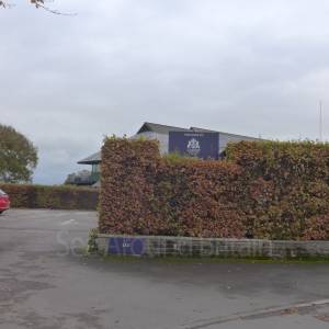 "Taken November 2025"