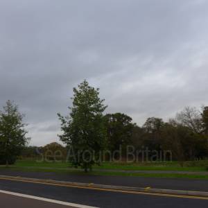 "Taken November 2025"