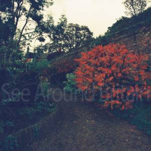 Photograph taken before 2009