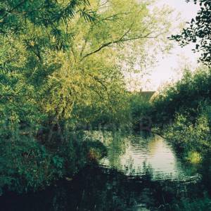 Photograph taken before 2009