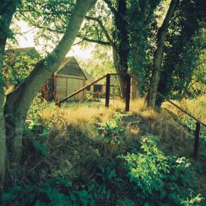 Photograph taken before 2009