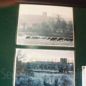 “taken before 2009”