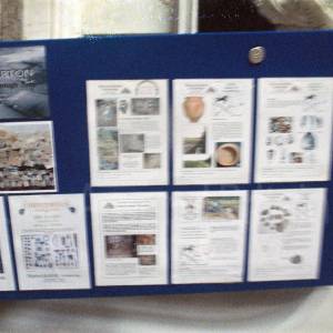 “taken before 2009”