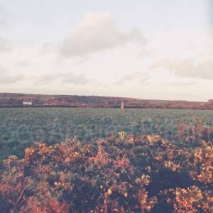 Photograph taken before 2009