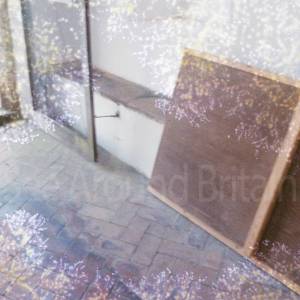 Photograph taken before 2009