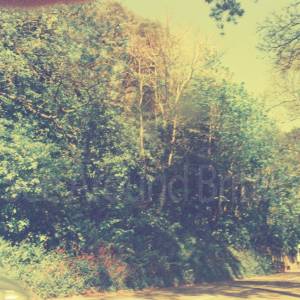 Photograph taken before 2009