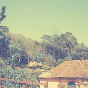 Photograph taken before 2009