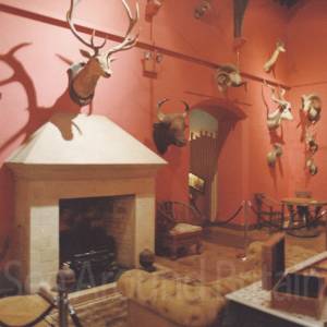 Photograph taken before 2009